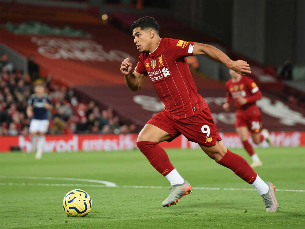 也許我們該 也許我們該